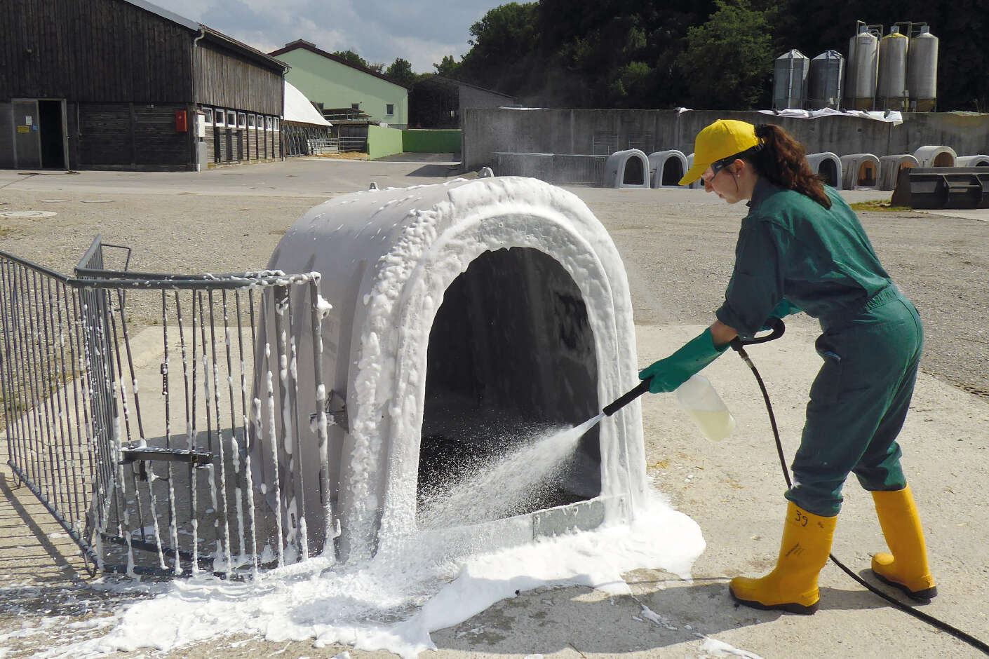 Reinigung Kälberiglu