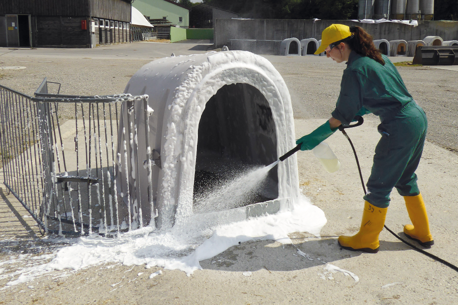 Reinigung Kälberiglu