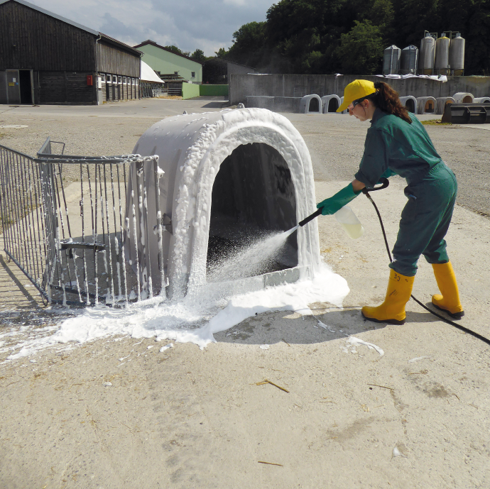 Reinigung Kälberiglu