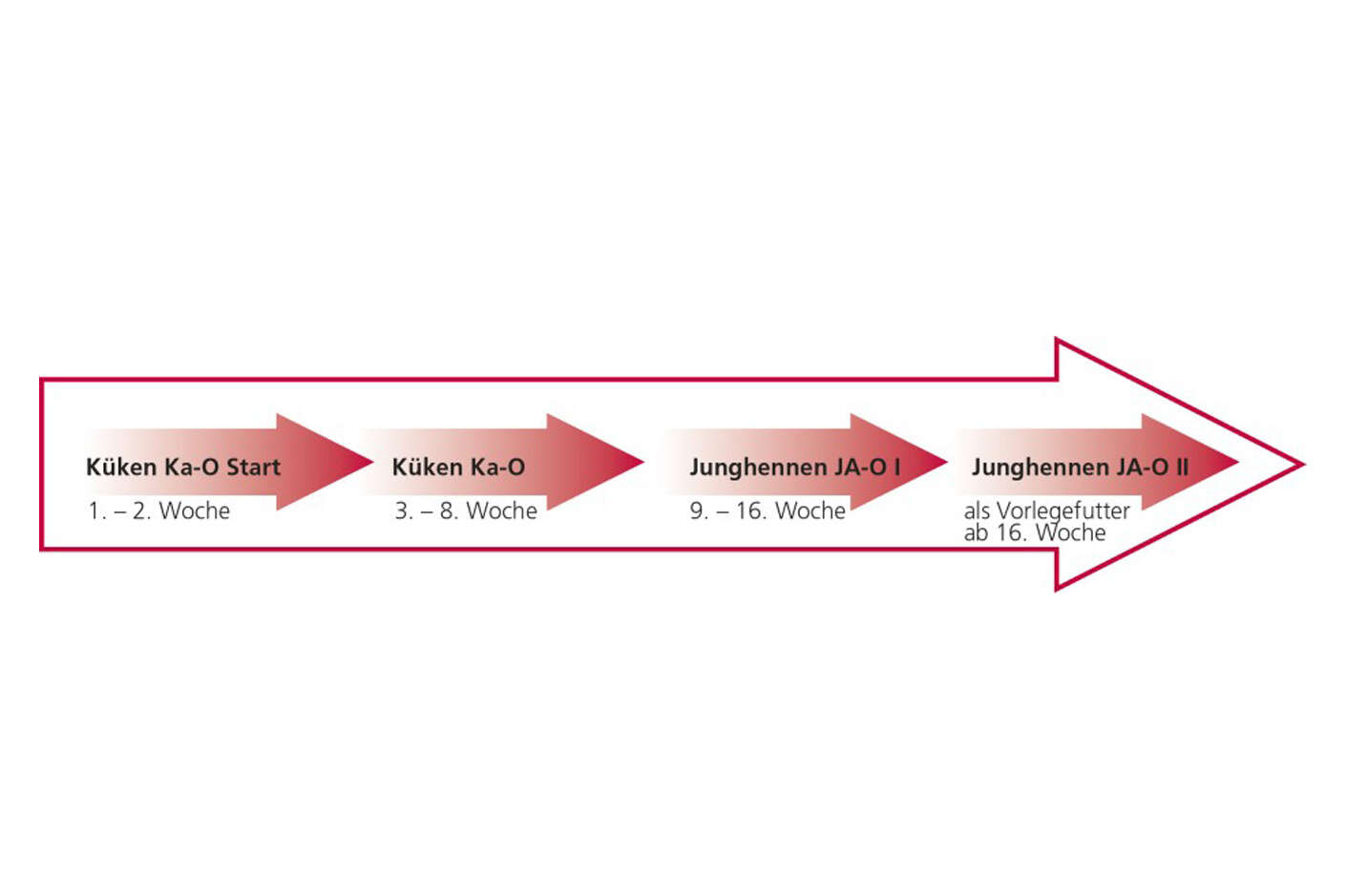 Pfeildiagramm: In unterschiedlichen Aufzuchtphasen benötigen die Tiere unterschiedliche Futter.