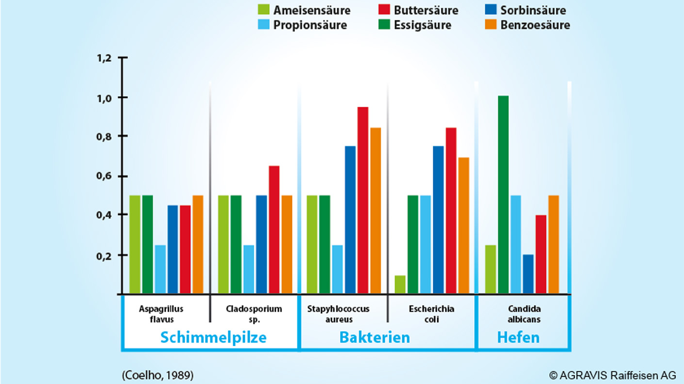 Säulendiagramm zur minimalen Hemmstoffkonzentration