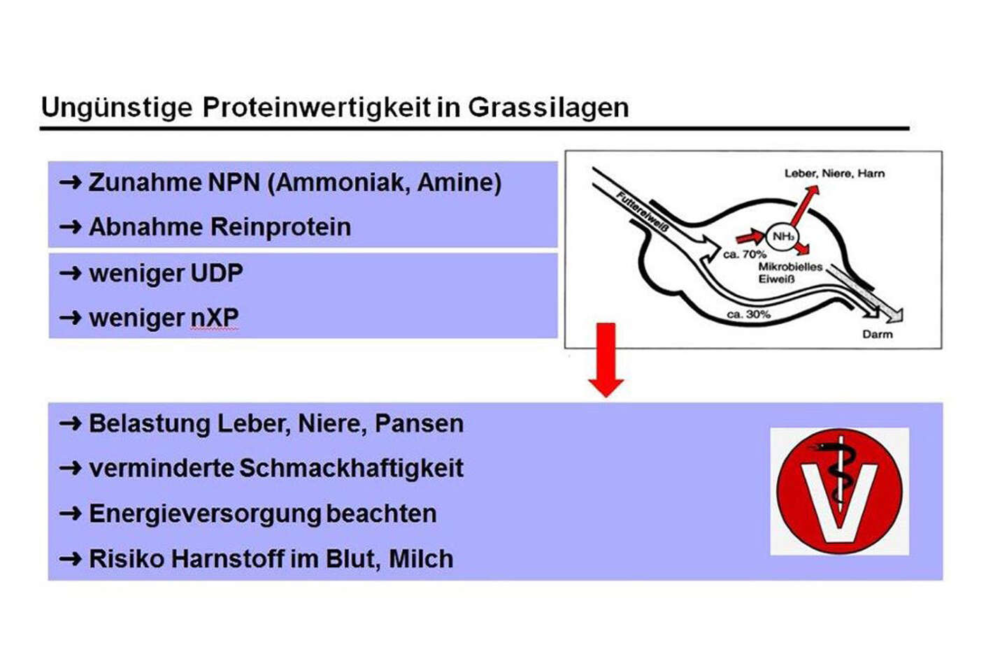 Grafik: Negative Aspekte von Proteinabbau