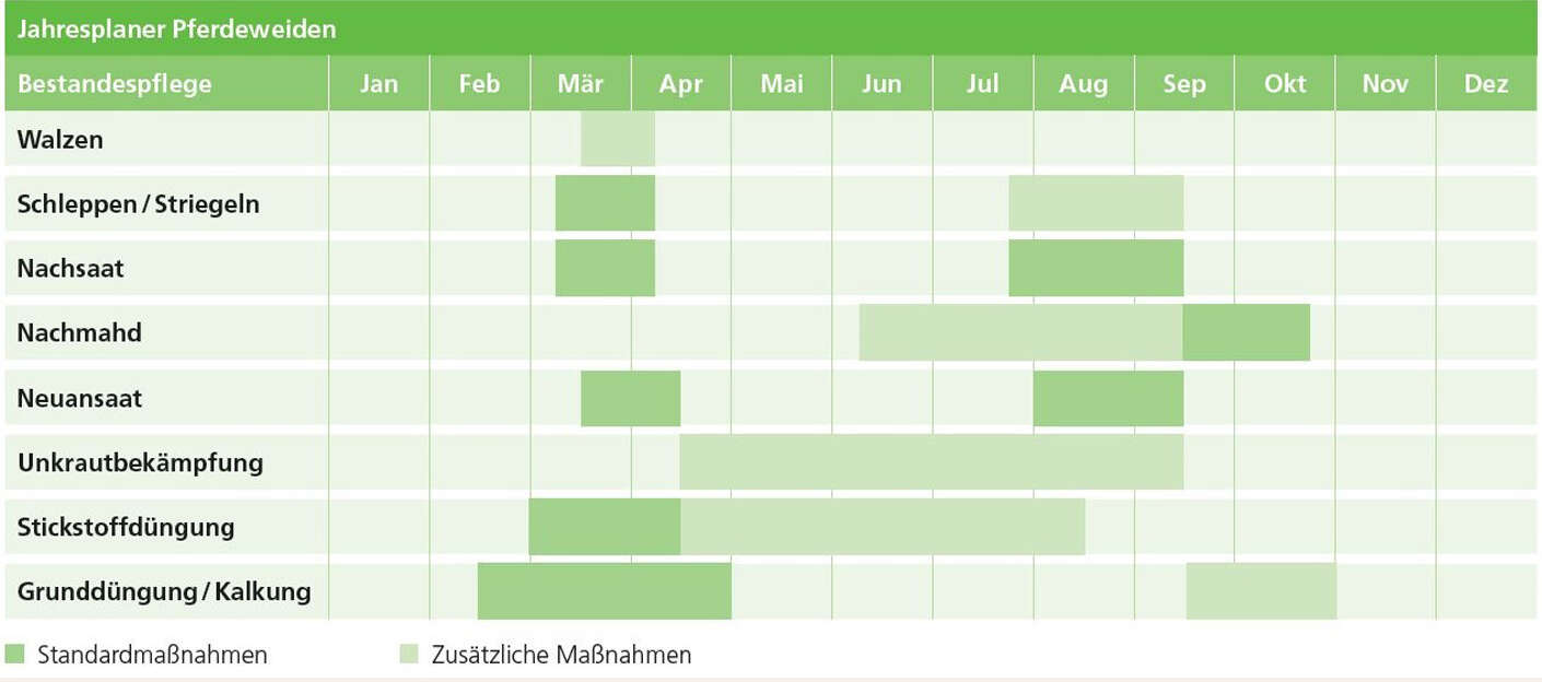 Jahresplaner Pferdeweiden