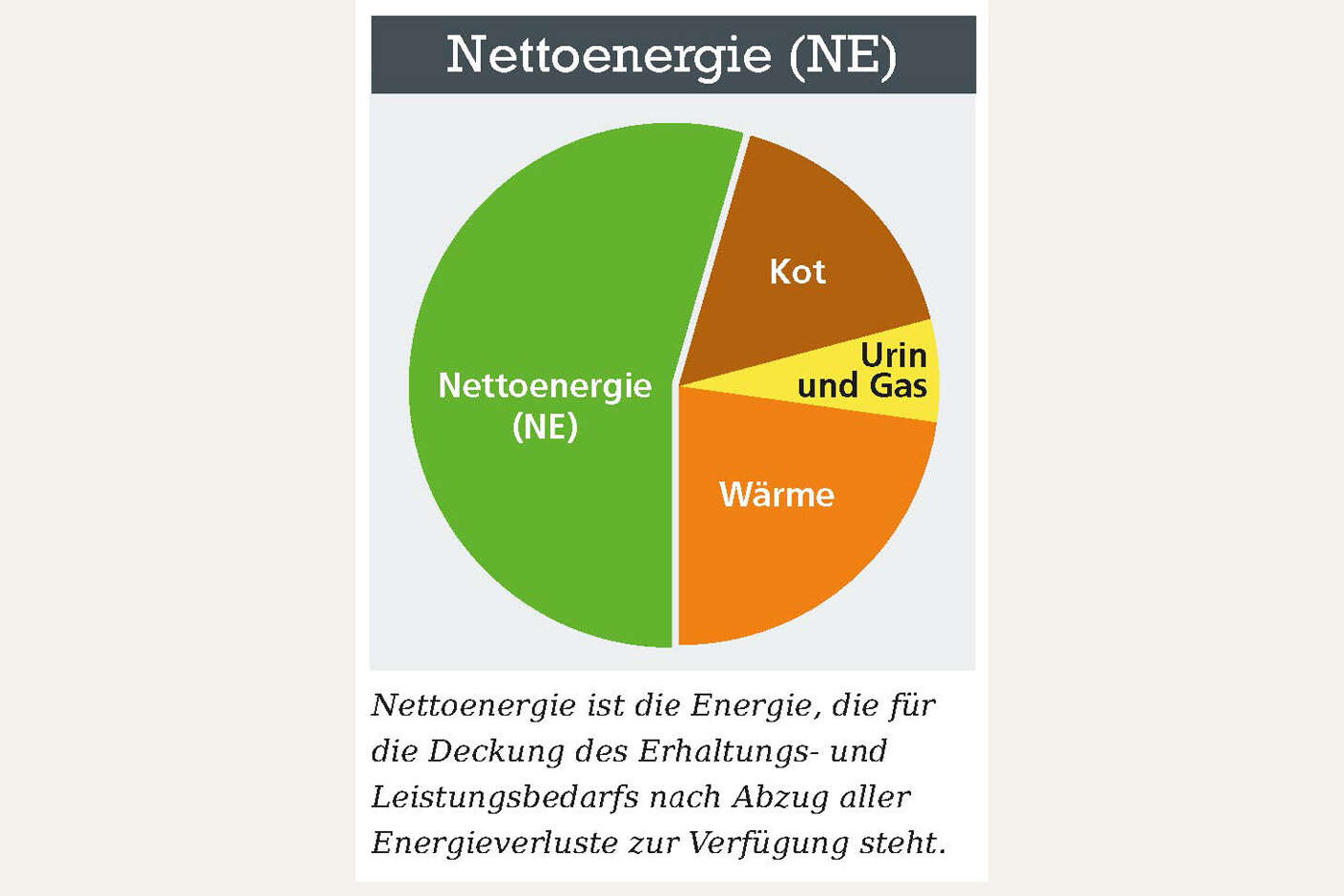 Kreisdiagramm zur Nettoenergie