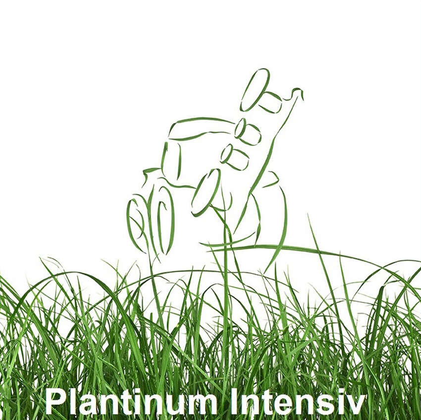 Logo Plantinum intensiv