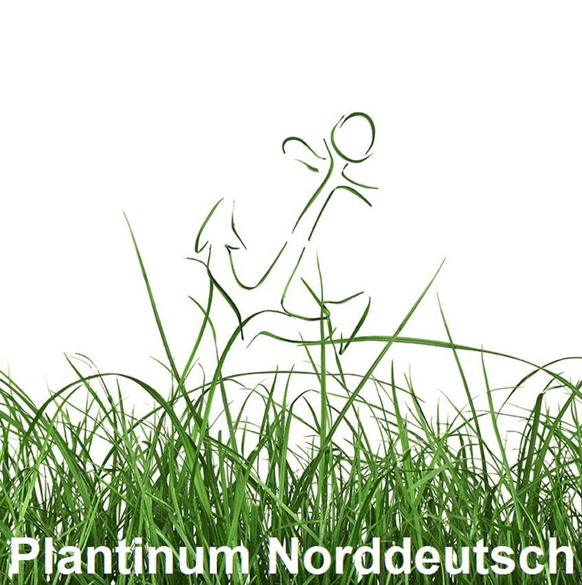 Logo Plantinum Norddeutsch