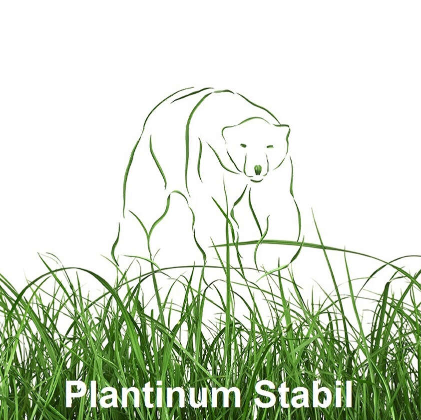 Logo Plantinum Stabil