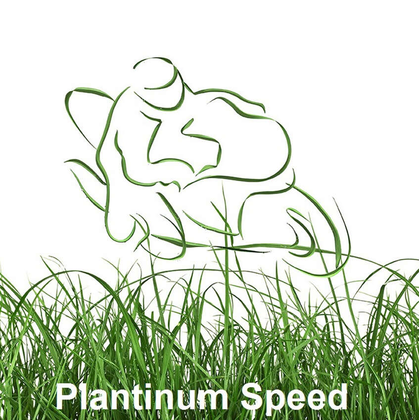 Logo Plantinum Speed