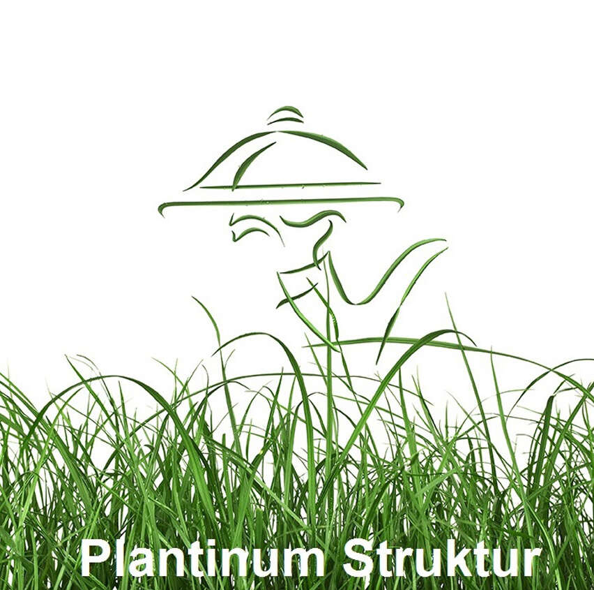 Logo Plantinum Struktur
