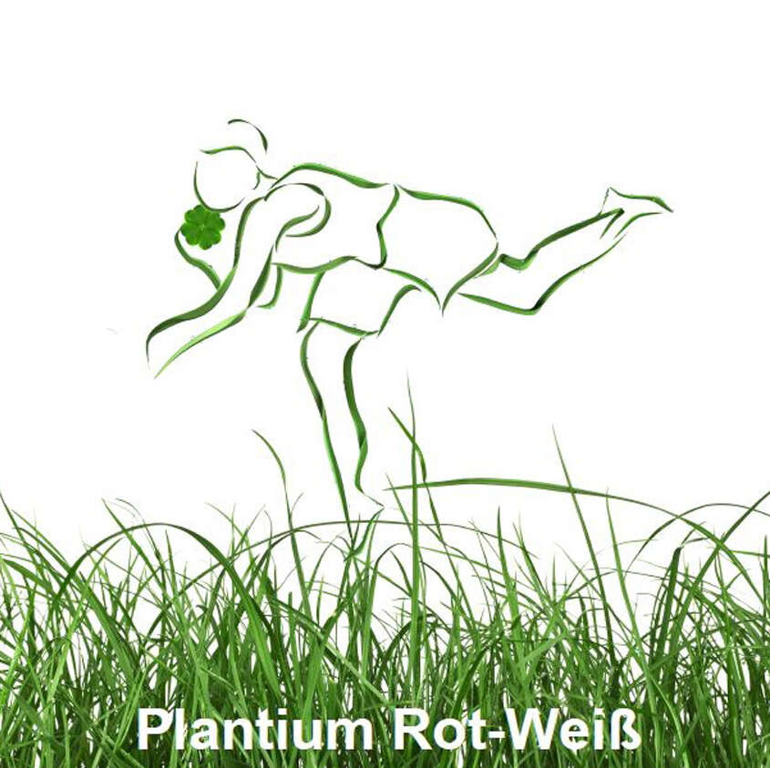 Logo Plantinum Rot-Weiß