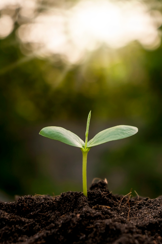 Standort Rosdorf - AGRAVIS Niedersachsen-Süd GmbH