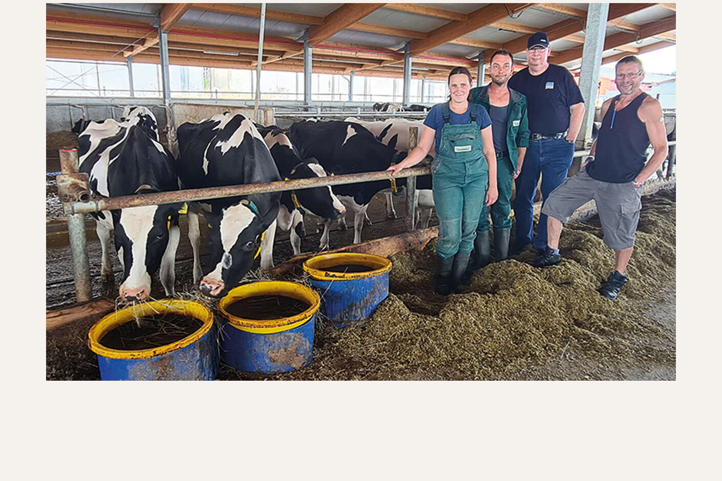 Team eines Milchviehbetriebs steht am Futtertisch neben den Tieren.