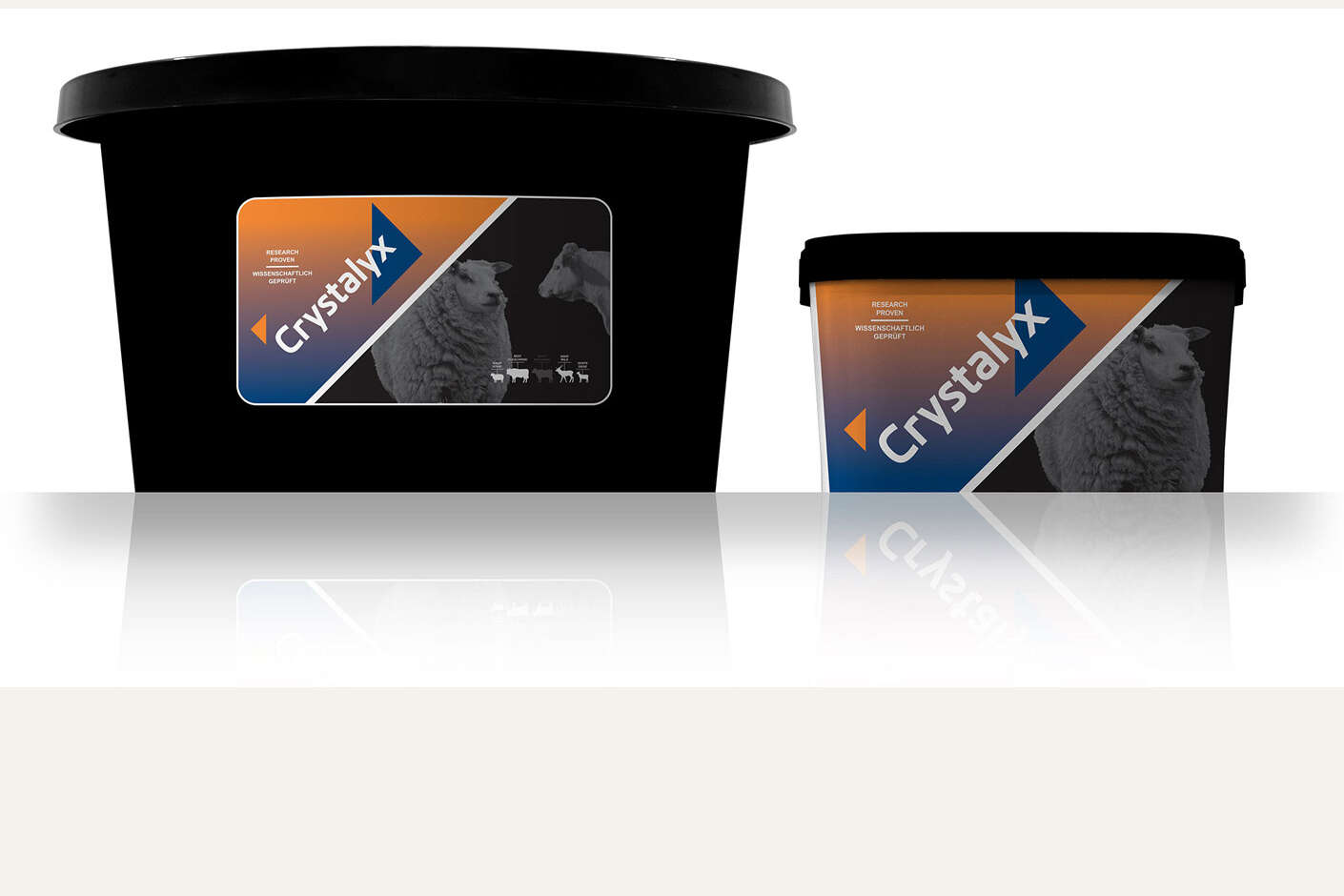 schwarzer Kübel mit Crystalyx Garlyx