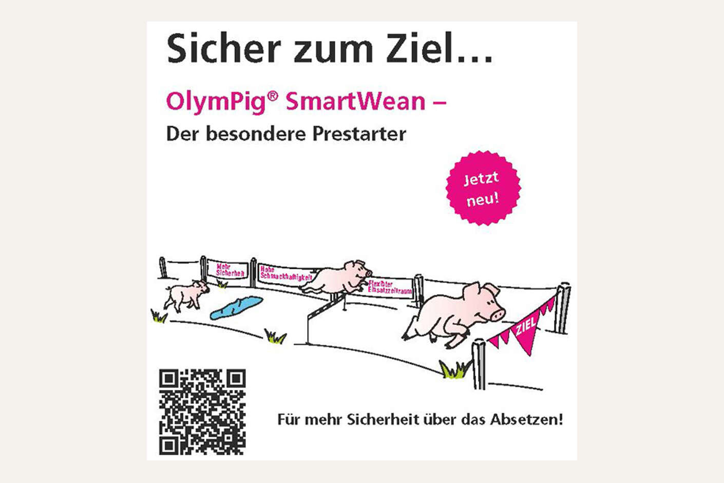 Illustration mit Ferkeln – Sicher zum Ziel ... OlymPig SmartWean – der besondere Prestarter
