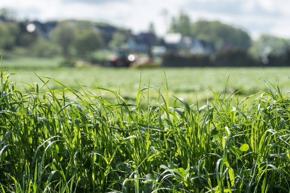 Grünland düngen