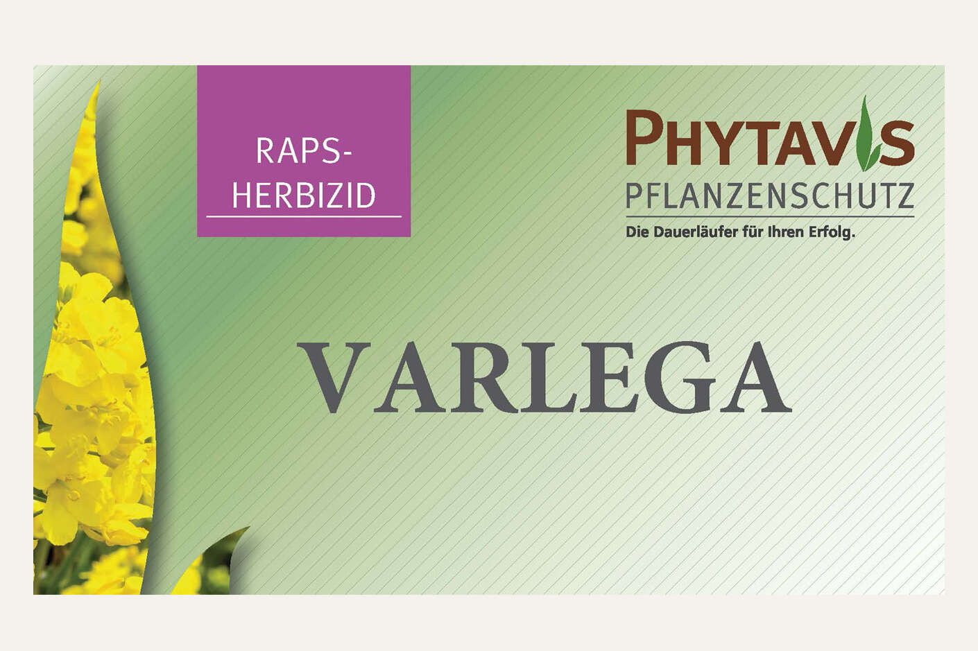 Logo Phyatvis Varlega