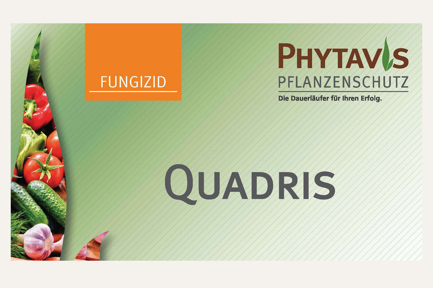 Logo Phytavis Quadris