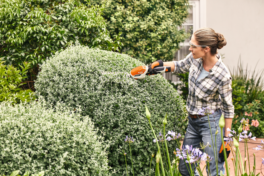 Frau schneidet Buchsbaum mit STIHL Akku-Strauchschere im gepflegten Garten