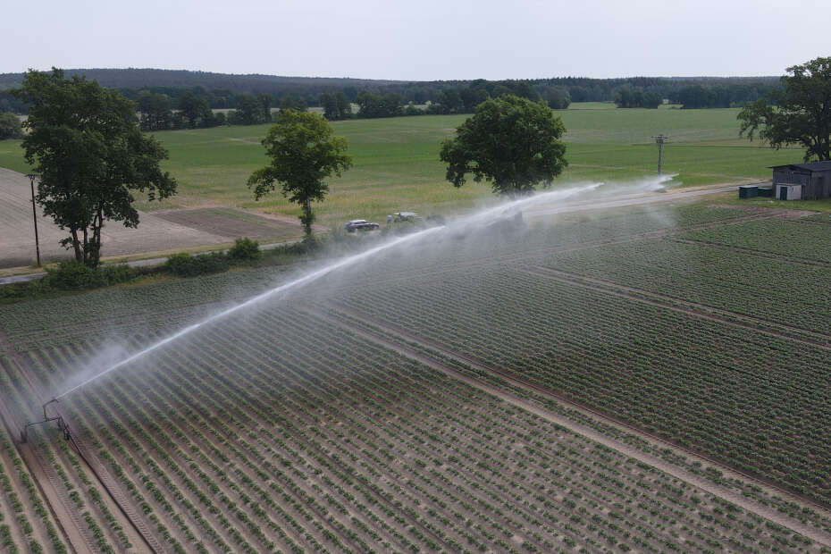 Aktive Überkopf Beregnungskanone auf Maisfeld der AGRAVIS Future Farm