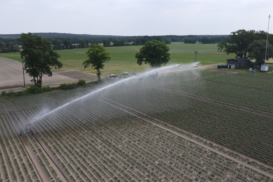 Aktive Überkopf Beregnungskanone auf Maisfeld der AGRAVIS Future Farm