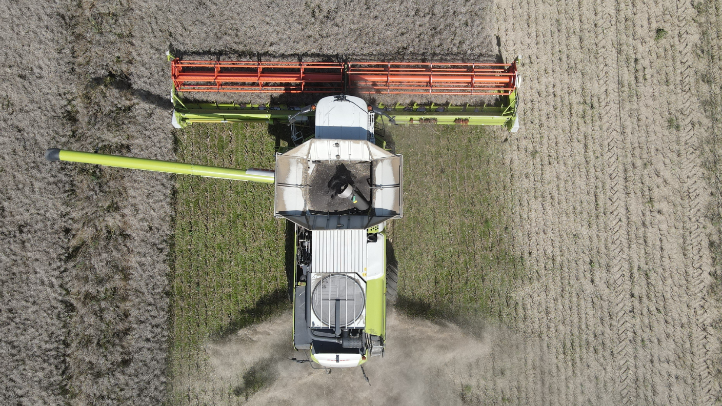 Luftaufnahme von Claas-Mähdrescher bei Rapsernte auf AGRAVIS Future Farm