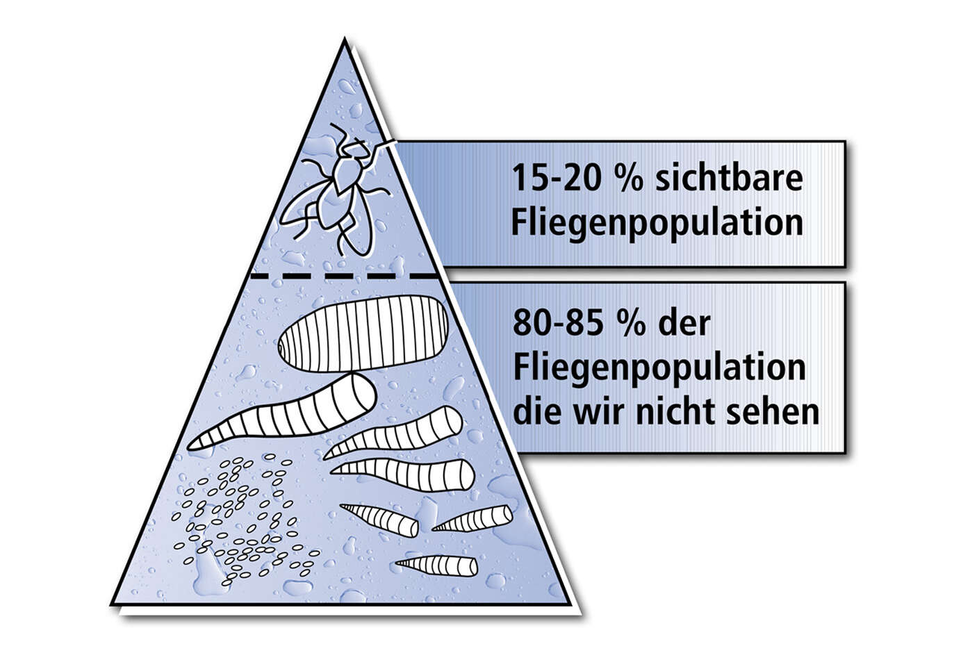 Grafik: nur 15 bis 20 Prozent der Fliegenpopulation ist sichtbar.