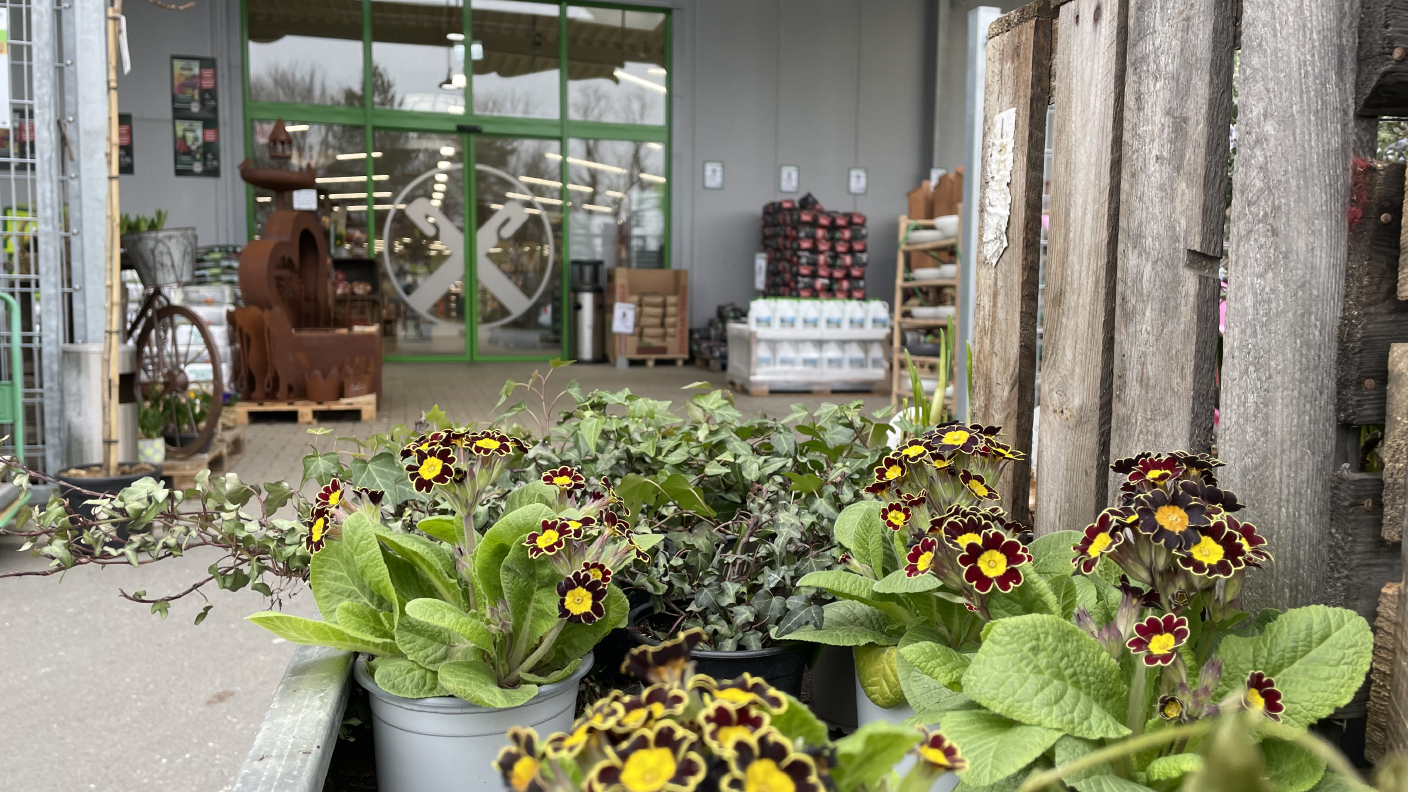 Eingang zum Raiffeisen-Markt Brakel mit Blumen im Vordergrund