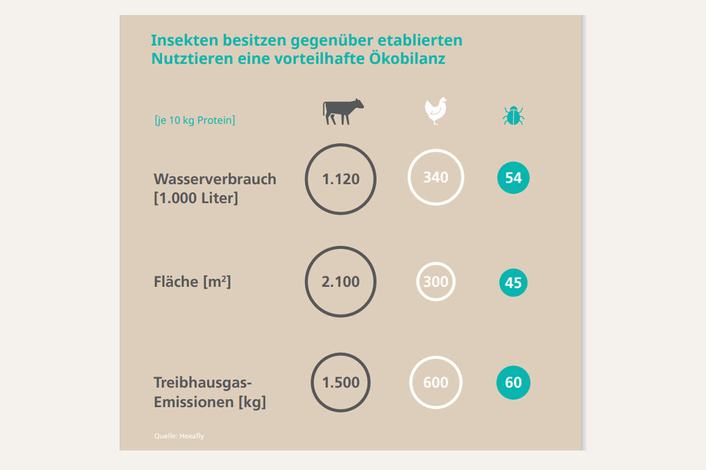 Grafik Ökobilanz Insekten: Sie benötigen weniger Wasser und Fläche und haben geringere Emissionen.