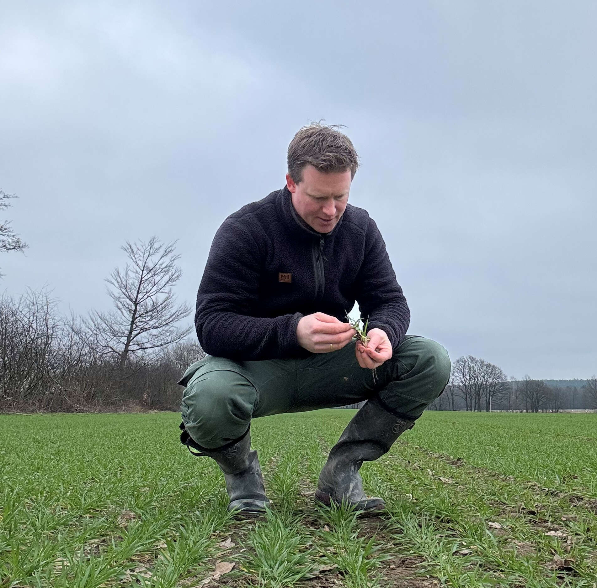 Pflanzenbau-Experte Arne Klages betrachtet junge Pflanzen auf Feld