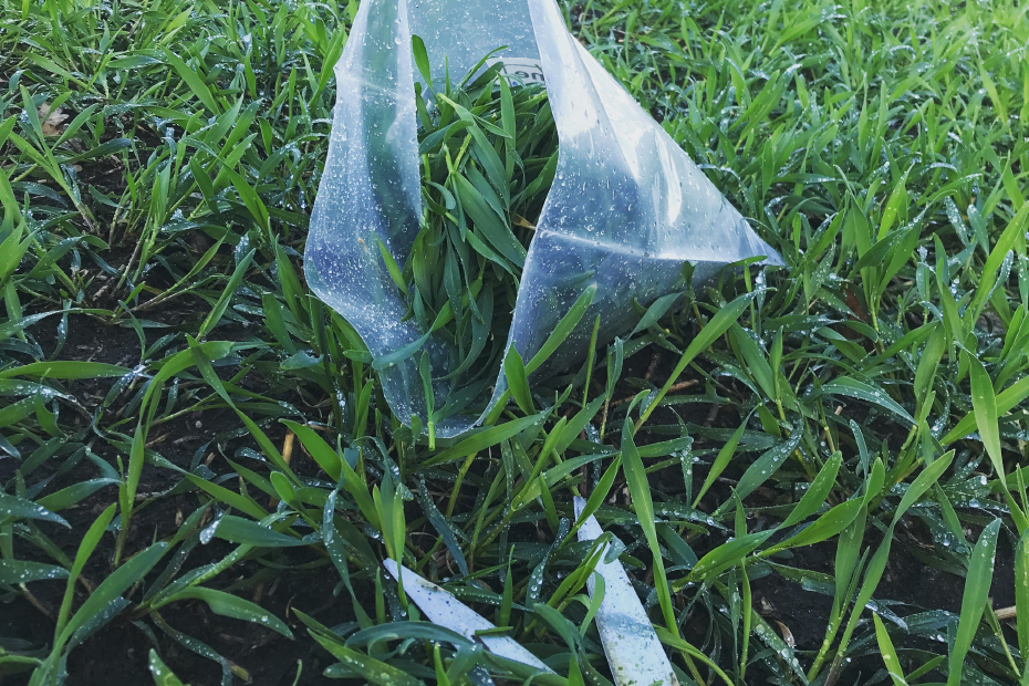 Eine Tüte mit abgeschnittenen Gräsern liegt auf einer Wiese