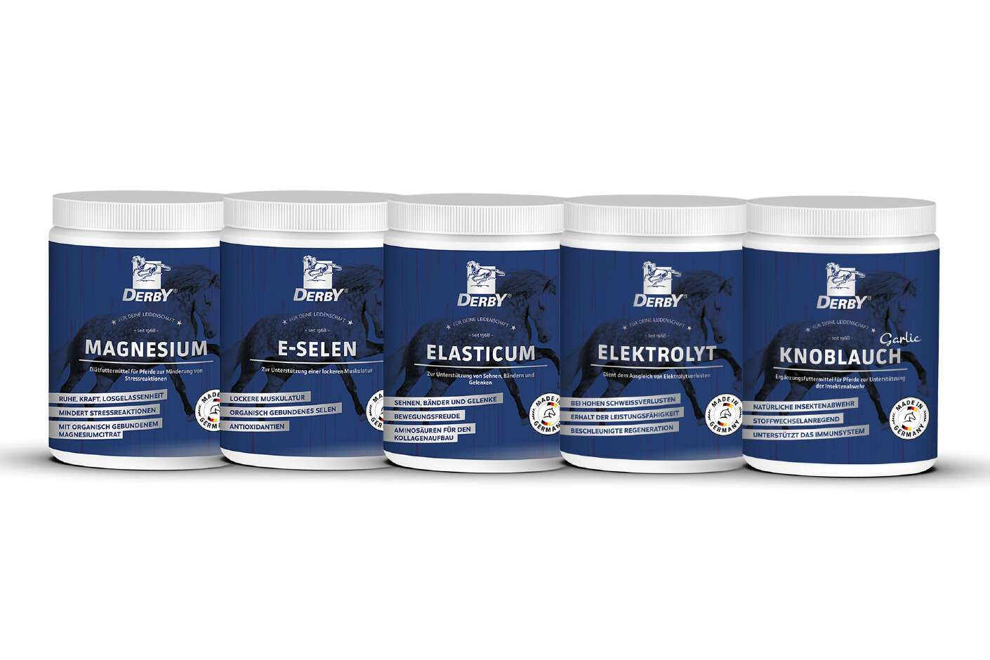 DERBY Produkte Magnesium, E-Selen, Elasticum, Elektrolyt, Knoblauch in der Dose