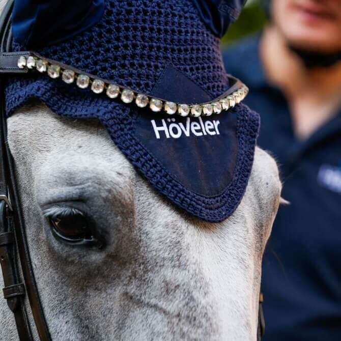 teaserbild hoeveler dam deutscher amateur meisterschaft dressur