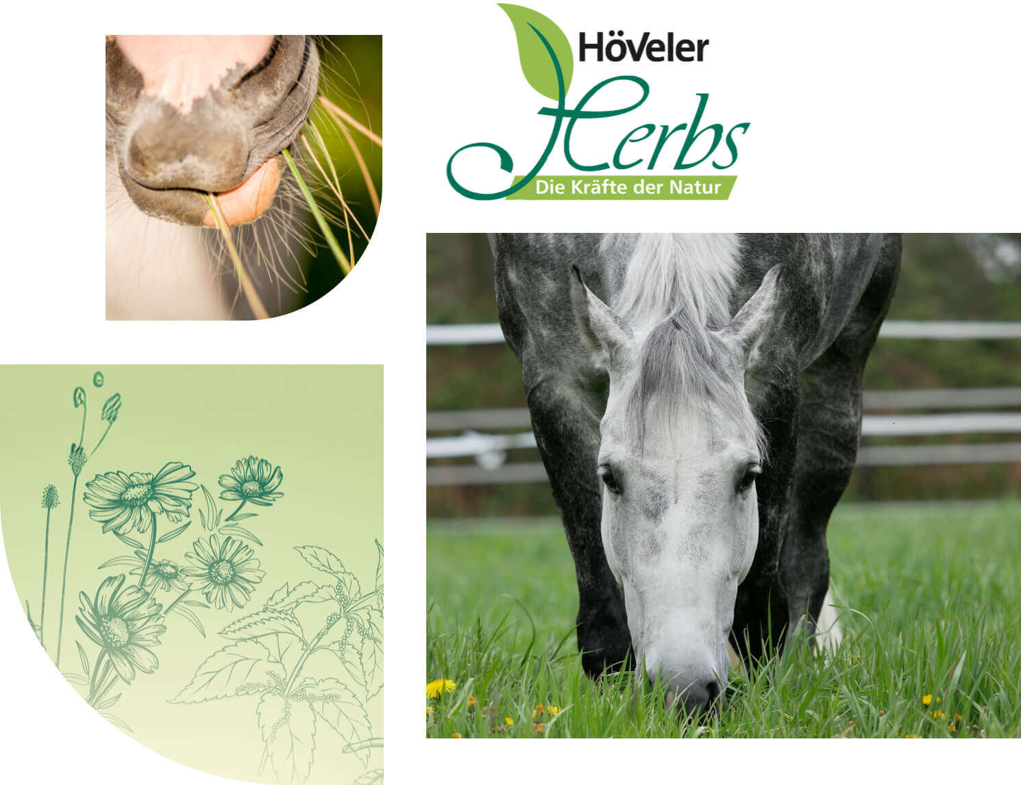 hoeveler herbs natur pferdefutter kategorie bild