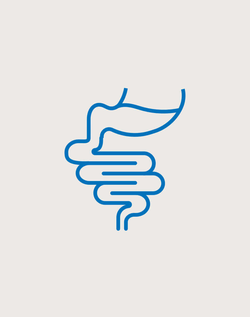 verdauung hoeveler supplemente premium pferdefutter pferdepflege highlightbanner