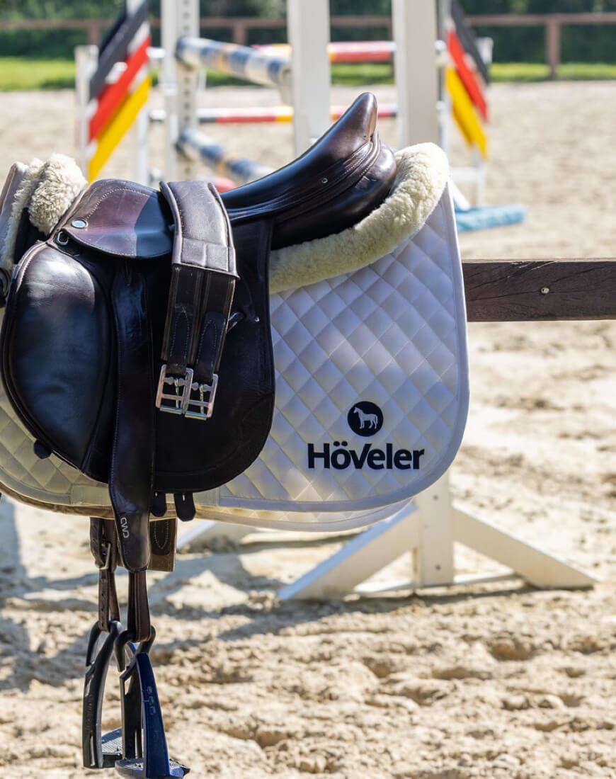 dam deutsche meisterschaft amateur pferdeturnier springreiten hoeveler supplemente premium pferdefutter pferdepflege highlightba