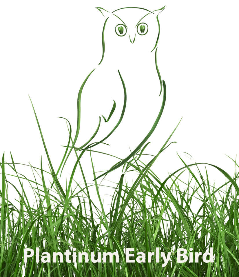 Logo Plantinum Early Bird groß