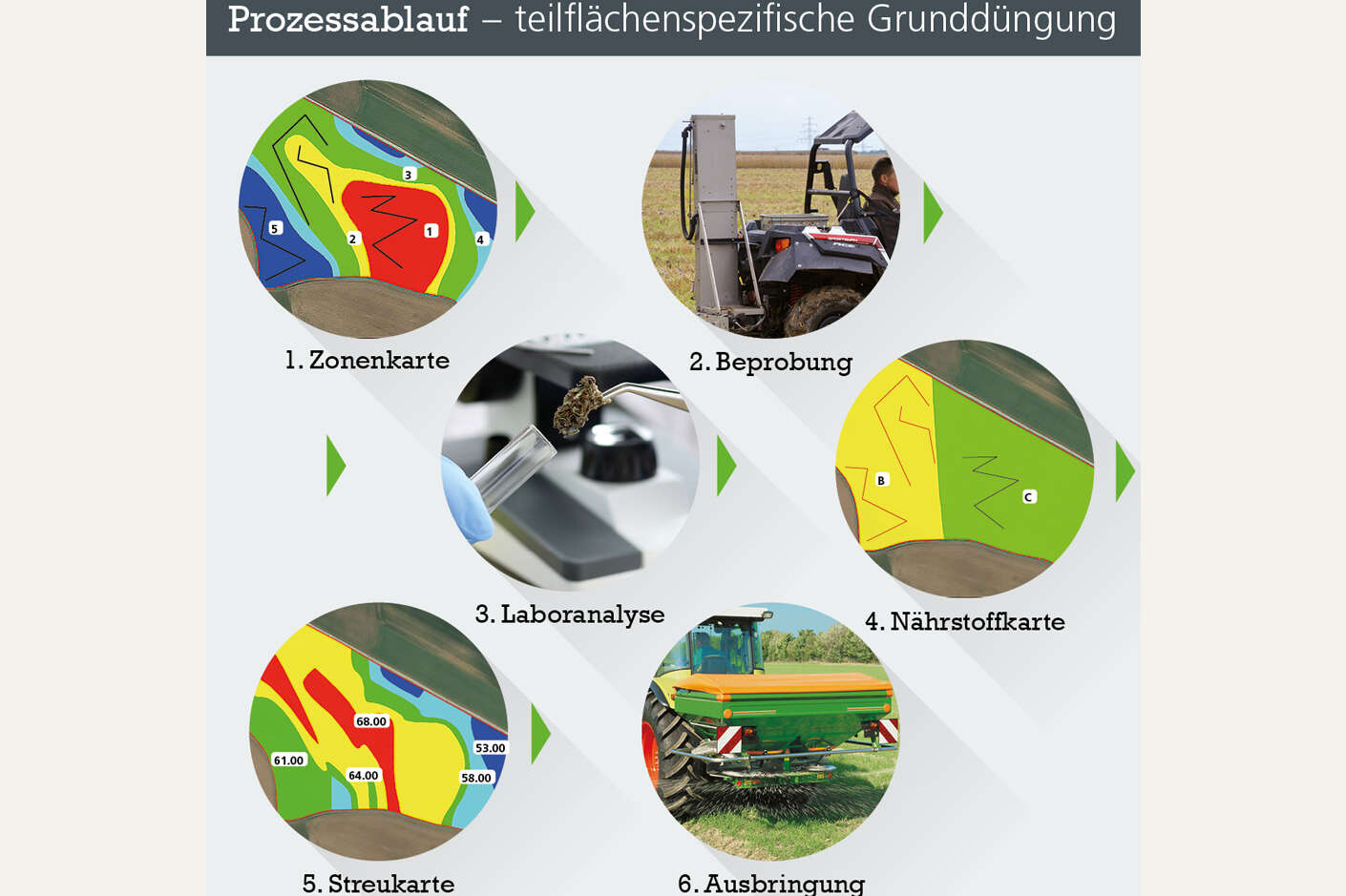 Prozessablauf der eilflächenspezifischen Grunddüngung