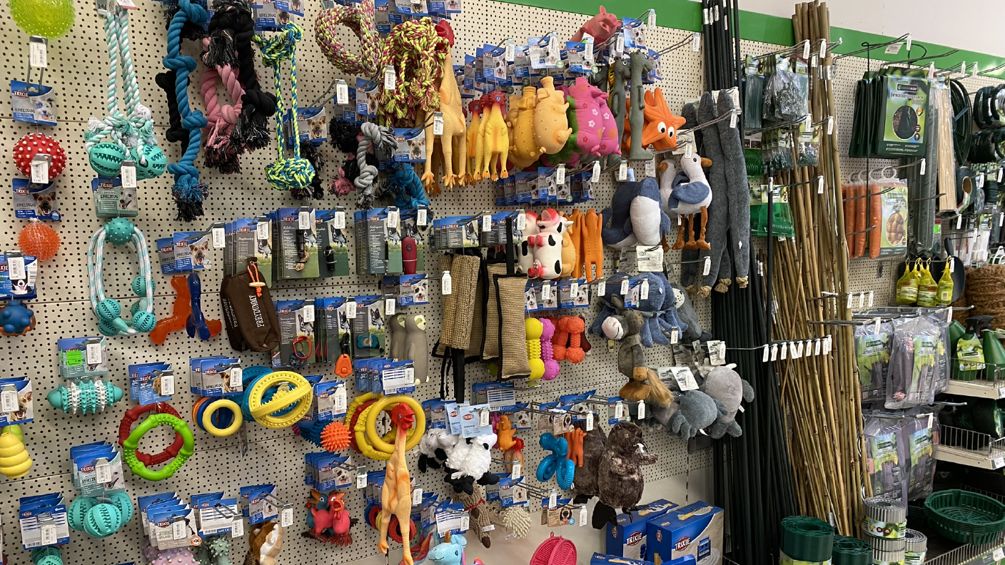 Regal mit diversem Hundespielzeug