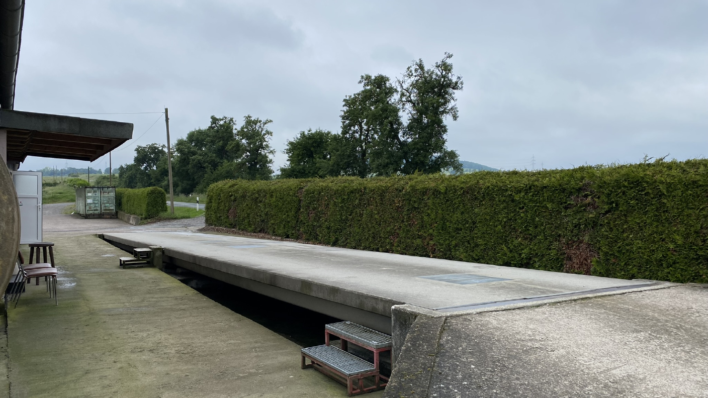 Brückenwaage vom Standort Trendelburg mit Hecke & Bäumen im Hintergrund