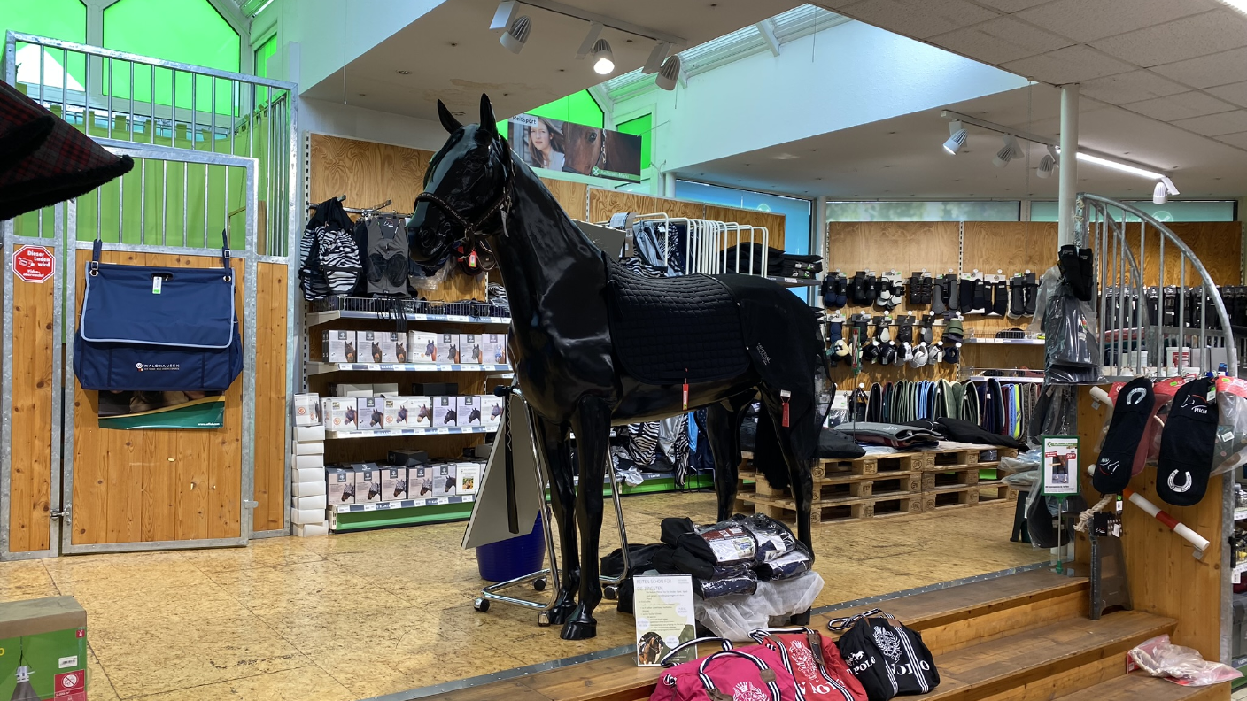 Verkaufsfläche mit Pferdezubehör & Reitbekleidung und Pferd im Vordergrund