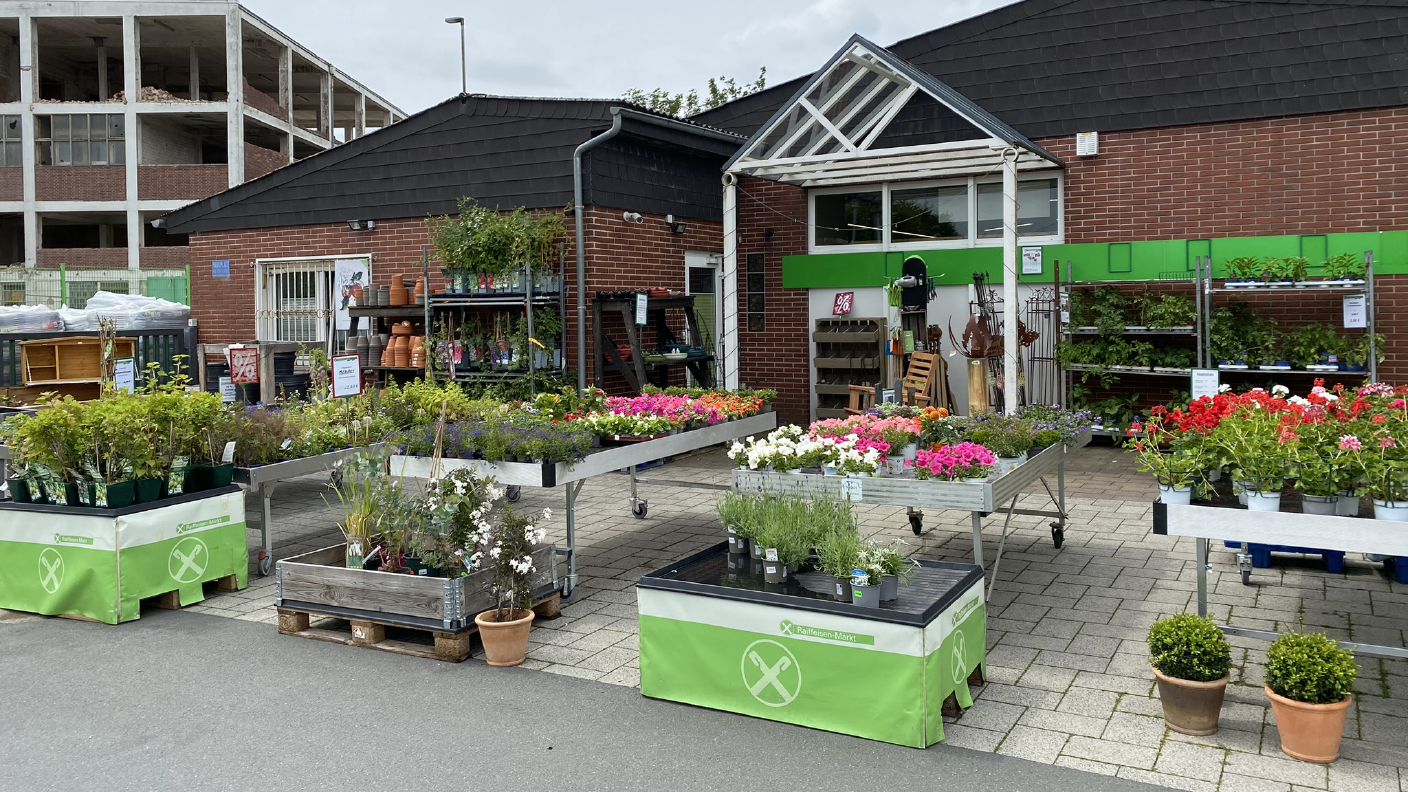 Außenbereich Garten- & Pflanzenbereich mit verschiedenen Pflanzen