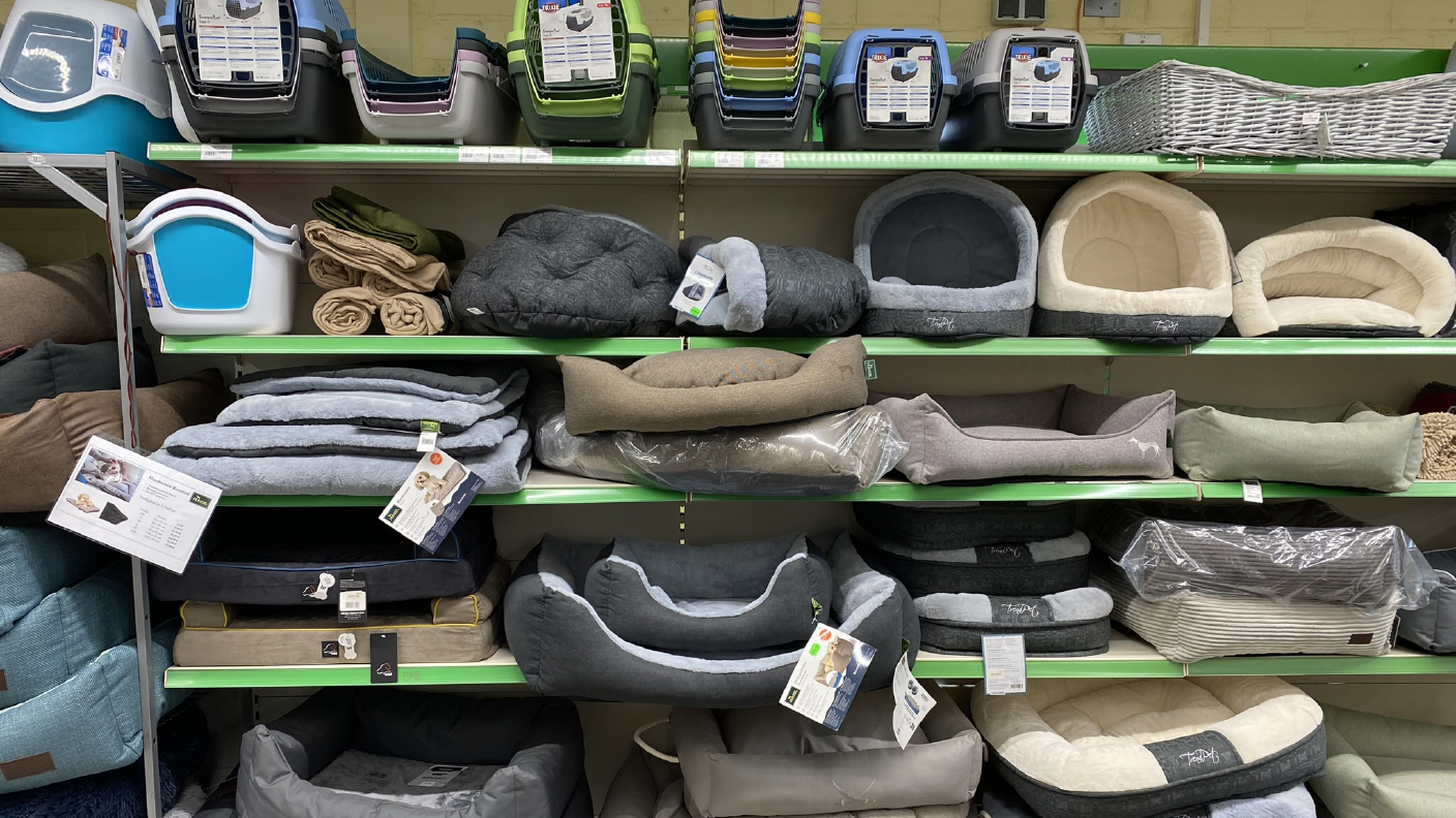 Regale mit Hundekörbchen, Katzenkörbchen & Transportboxen