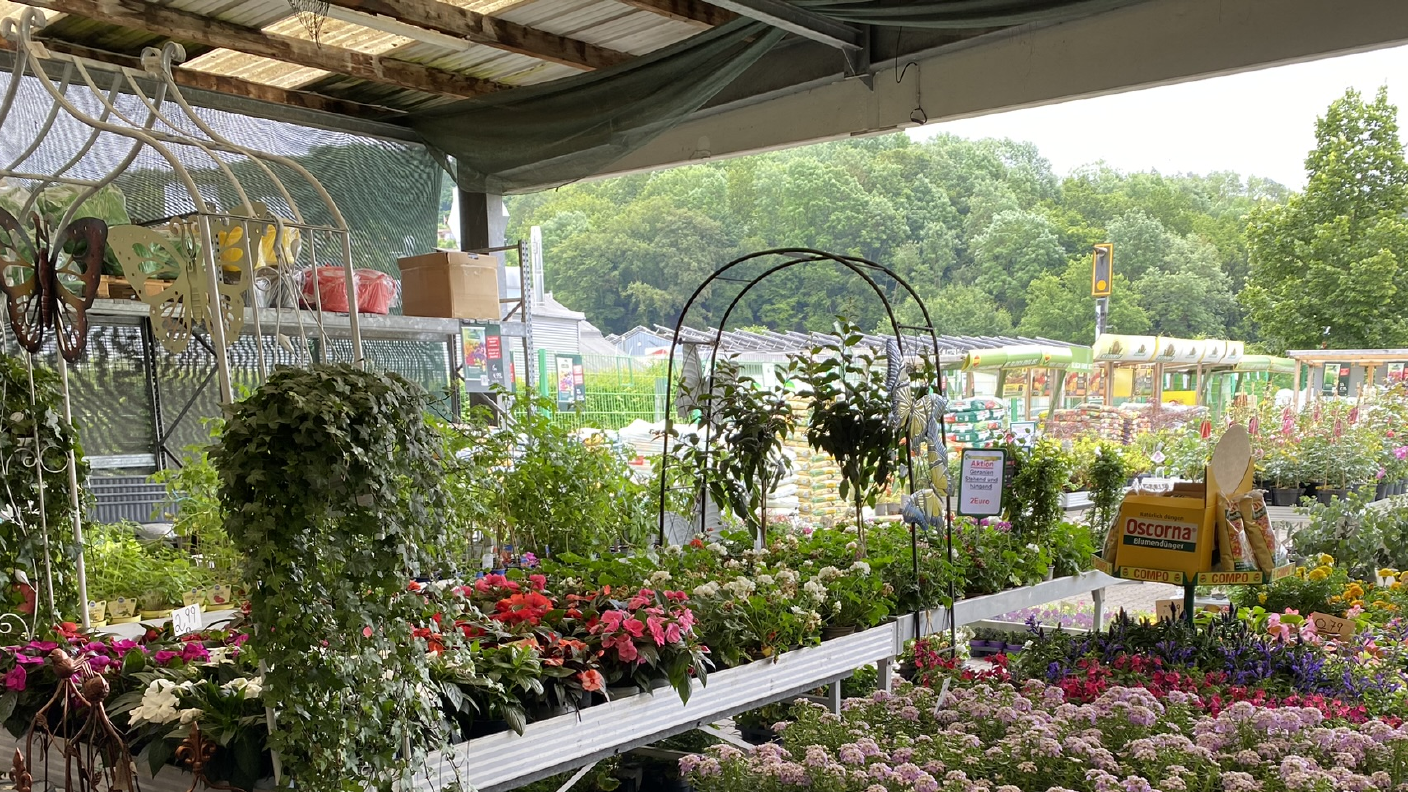 Garten- & Pflanzenabteilung mit verschiedenen Blumen