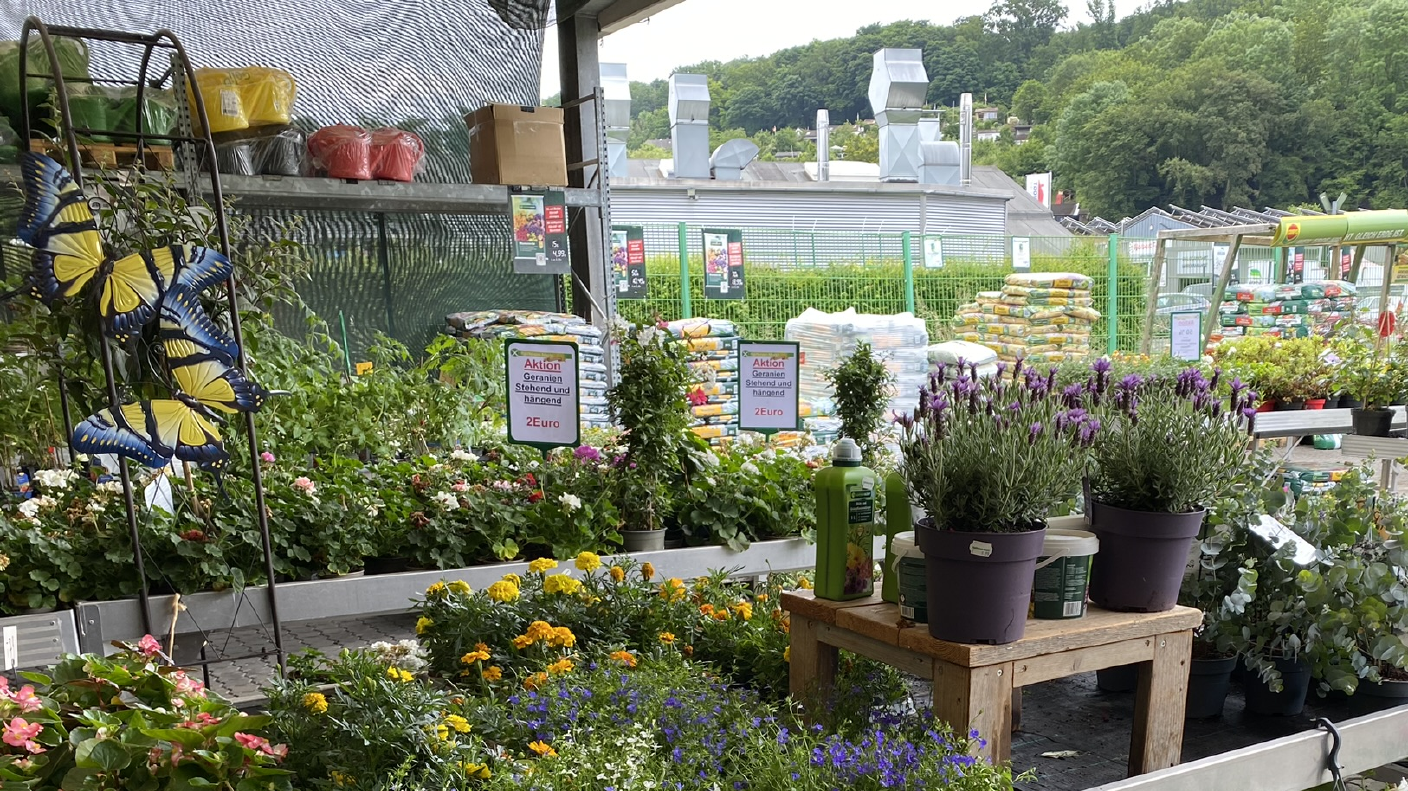 Garten- & Pflanzenabteilung mit verschiedenen Blumen