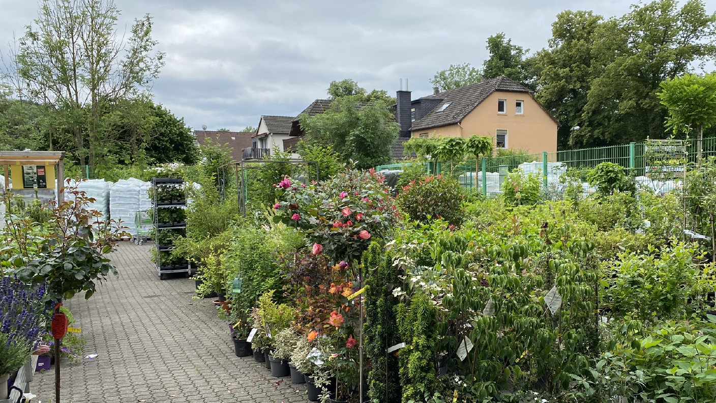 Garten- & Pflanzenabteilung mit verschieden Bäume/Pflanzen