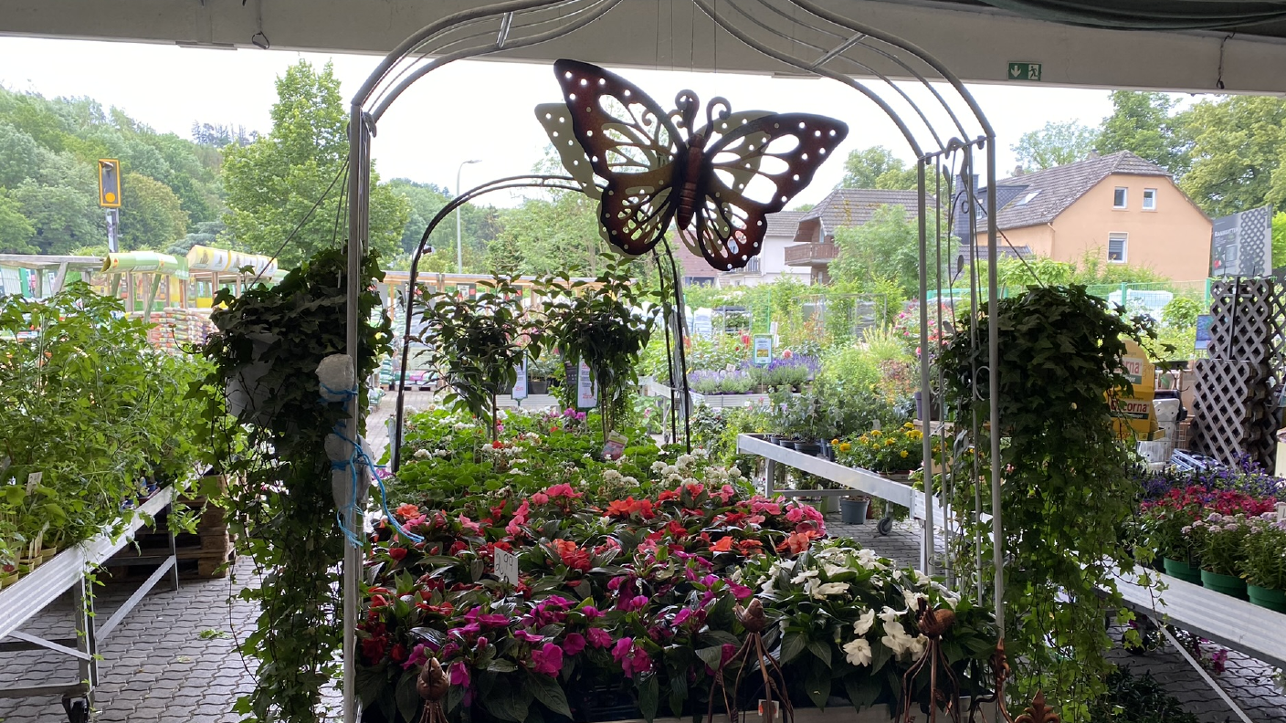 Pflanztisch mit verschiedenen Blumen und Dekostücken