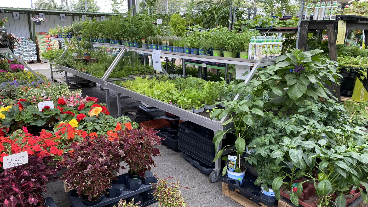 Pflanztische mit Gemüsepflanzen & Blumen