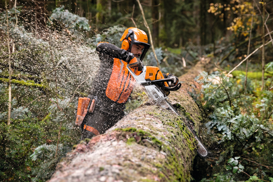 Waldarbeiter schneidet liegenden Baum mit STIHL-Motorsäge