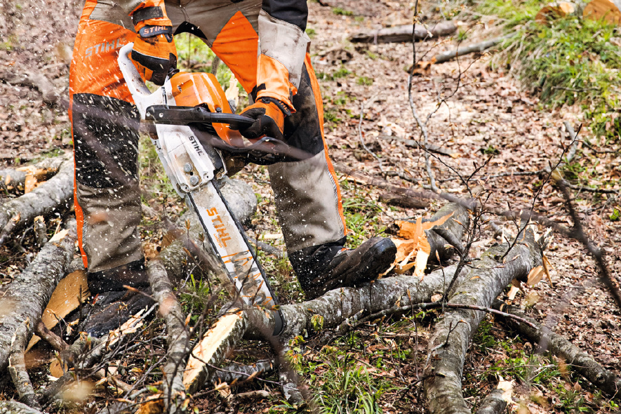 Person sägt mit STIHL-Motorsäge Äste im Wald