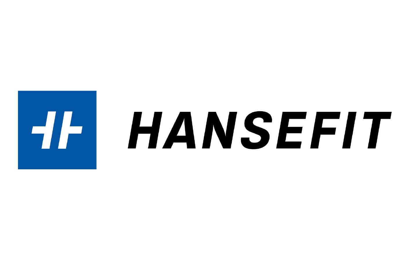 Logo Hansefit